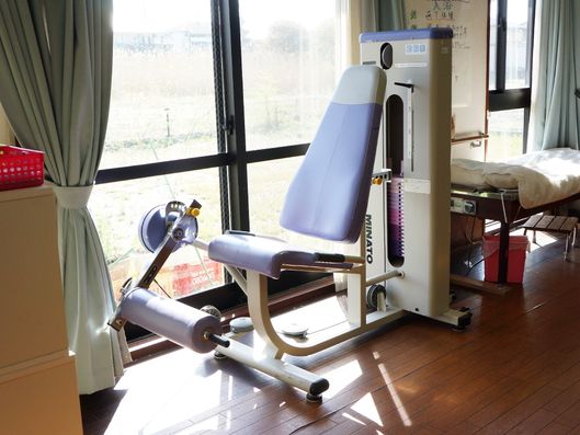 レッグエクステンション