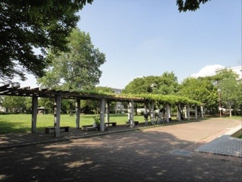 施設の窓からも見えるくらい近い場所に大きな公園がある。季節に応じて色々な花々が咲き、見るものを楽しませてくれる。