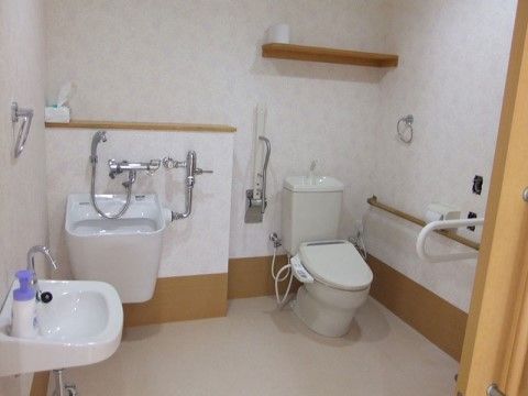 便器の上部には焦げ茶色の木製カウンターが設置されており、トイレットペーパーやその他の備品を置くことができる。