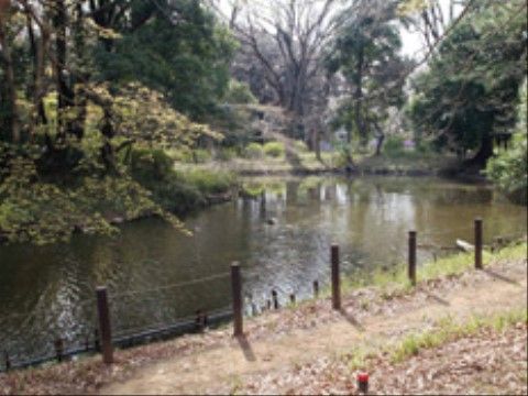 清々しい中庭の景色