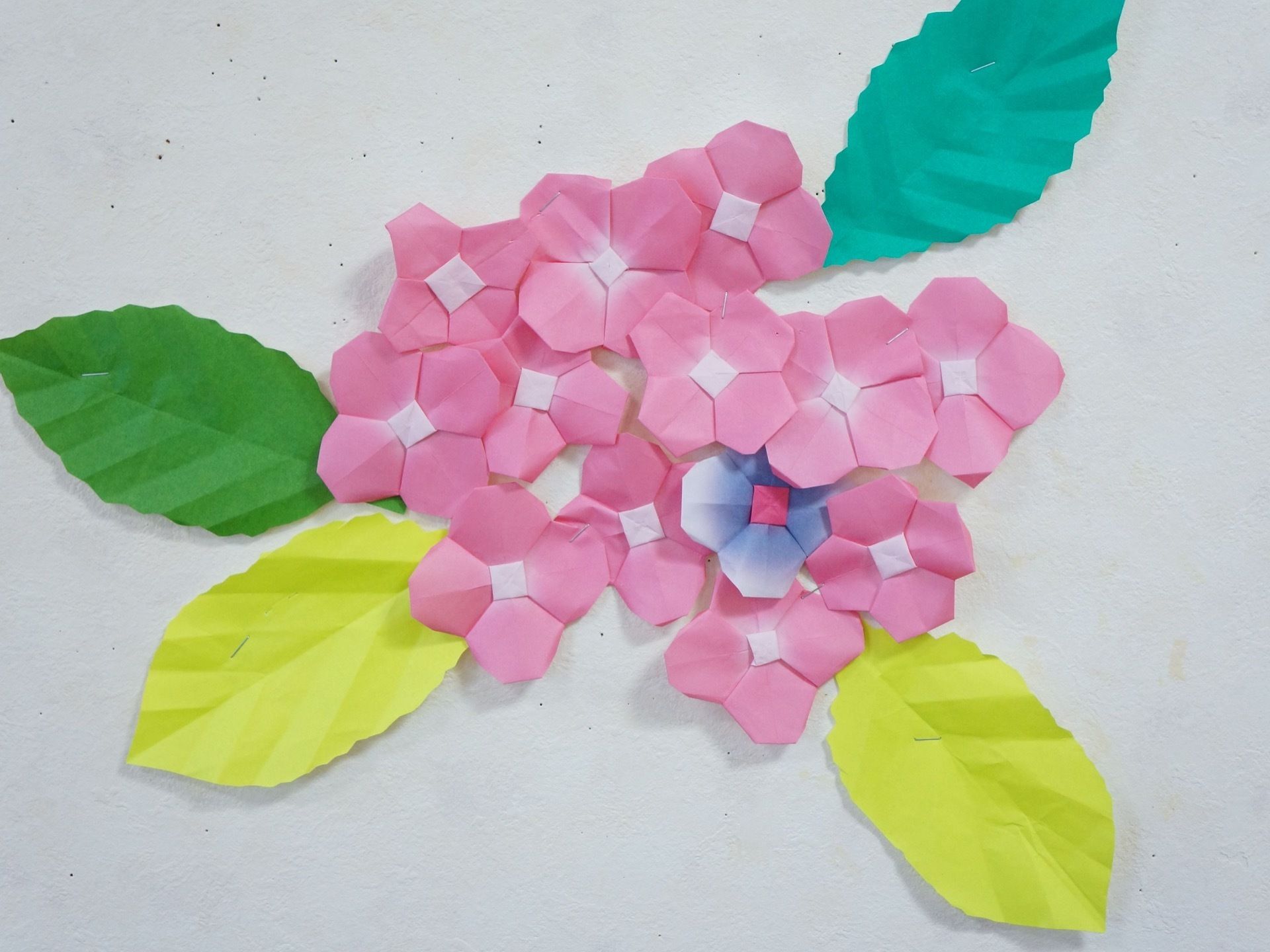 折り紙で作られた紫陽花の花が壁に貼られている。たくさんのピンク色の花の中に、1輪だけ水色の花があり、花の周りには緑色の葉っぱがある。