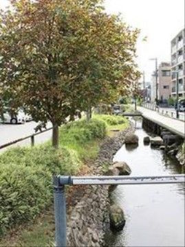 近くには整備された小川があり、木々がきれいに植えられていて遊歩道もあるので、のんびりと散歩をすることができる。
