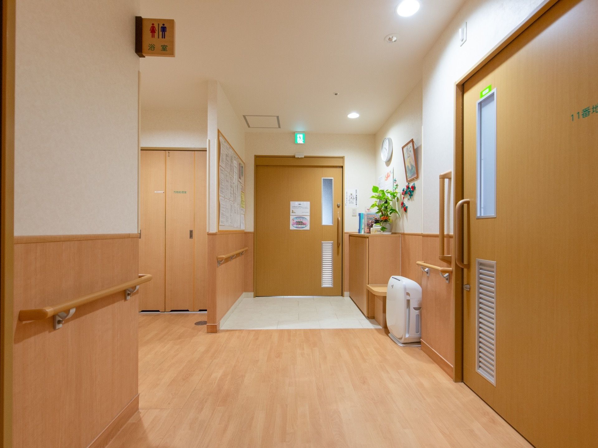 木目調の床の明るい廊下。突き当りはドアになっており、左側はトイレへと続いている。棚があり、植木鉢が置かれている。