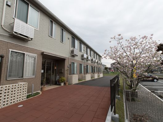 入口周辺と駐車場