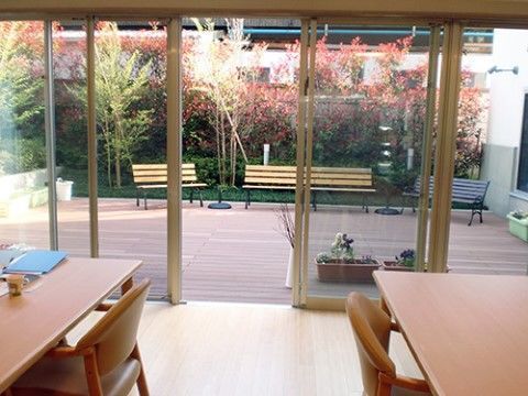 リビングにはテラスが併設され、窓からは中庭を一望できる。秋になると、美しく色づいた木々を見ることができる。