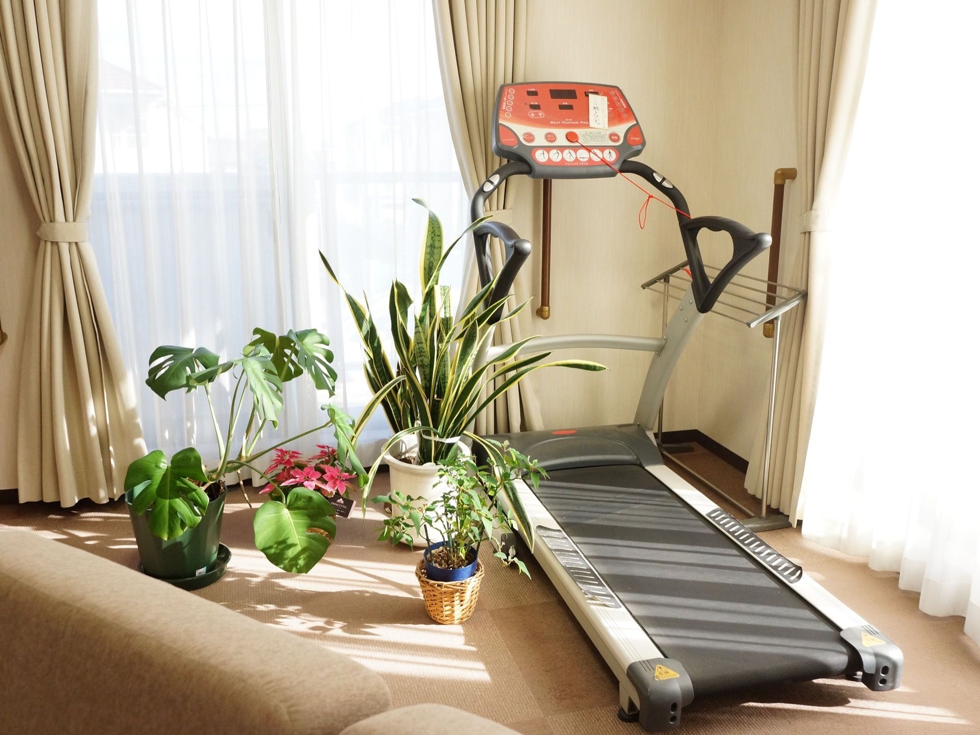 部屋の片隅にあるランニングマシーンの横には、たくさんの観葉植物が置かれている。運動もでき、自由に使える場所である。