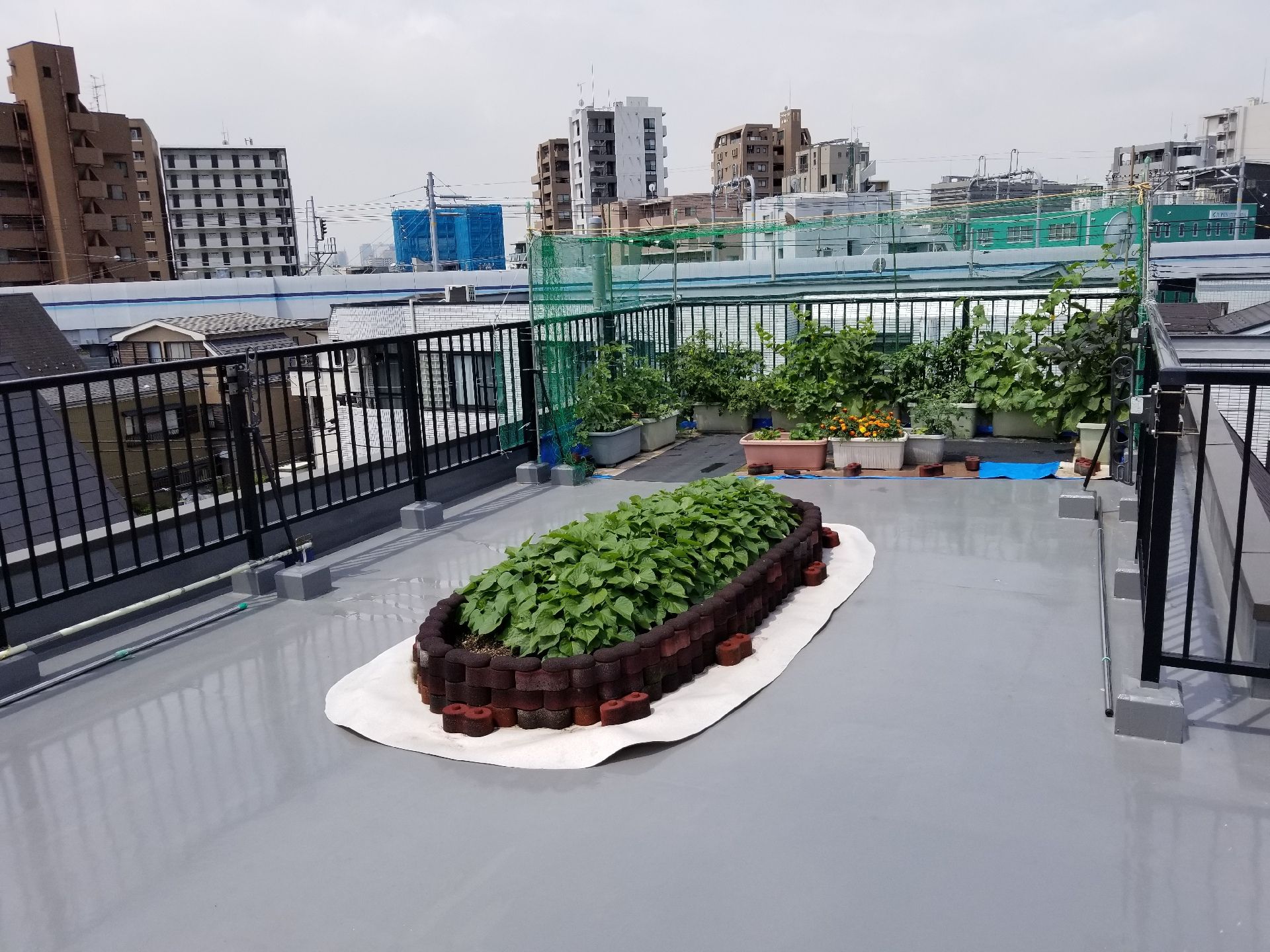 屋上の緑あふれる空間