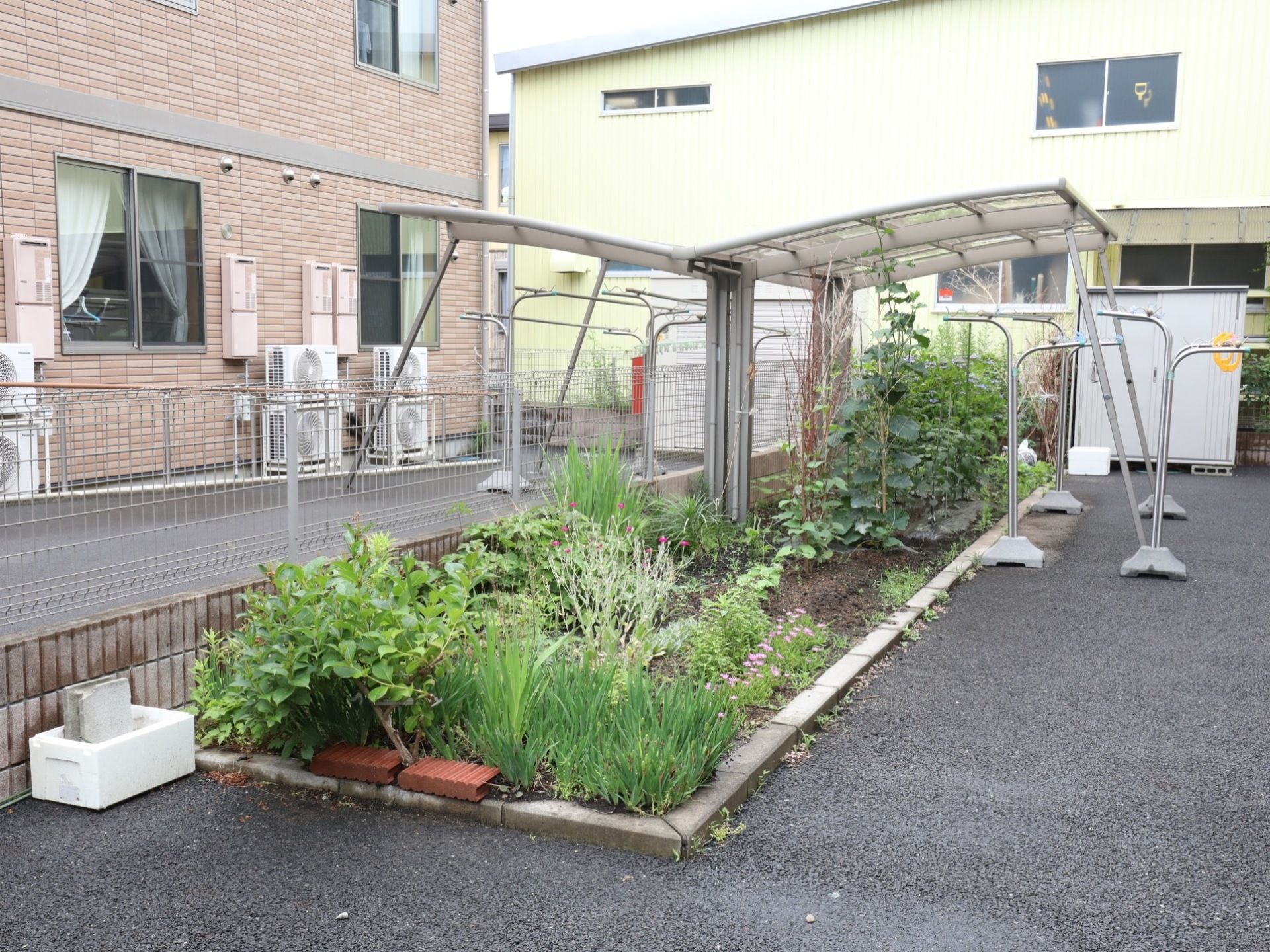 施設に完備されている菜園である。季節折々の花々が咲き、青々しく育っている緑は入居者様の癒しになっている。