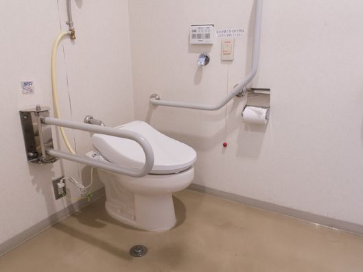 両側に手すりがついているトイレ