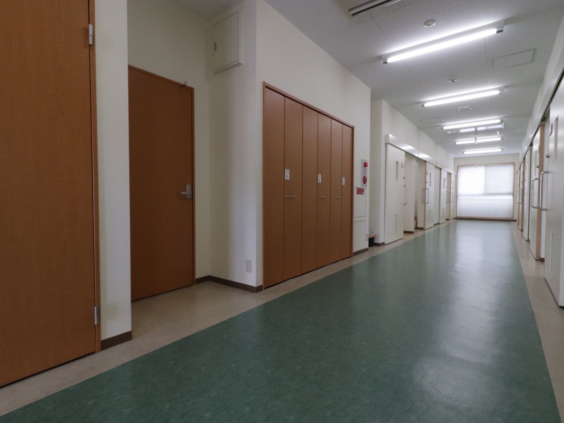 緑色の床が細長く続いている。突き当りには大きな窓が設置されている。木目調の収納庫が壁に埋め込まれている。