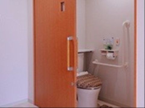 座ったり、立ったりする時にも便利な手すりが壁に設置されている。入口の扉は横開き戸になっている。安心な呼び出しボタンが付いている。