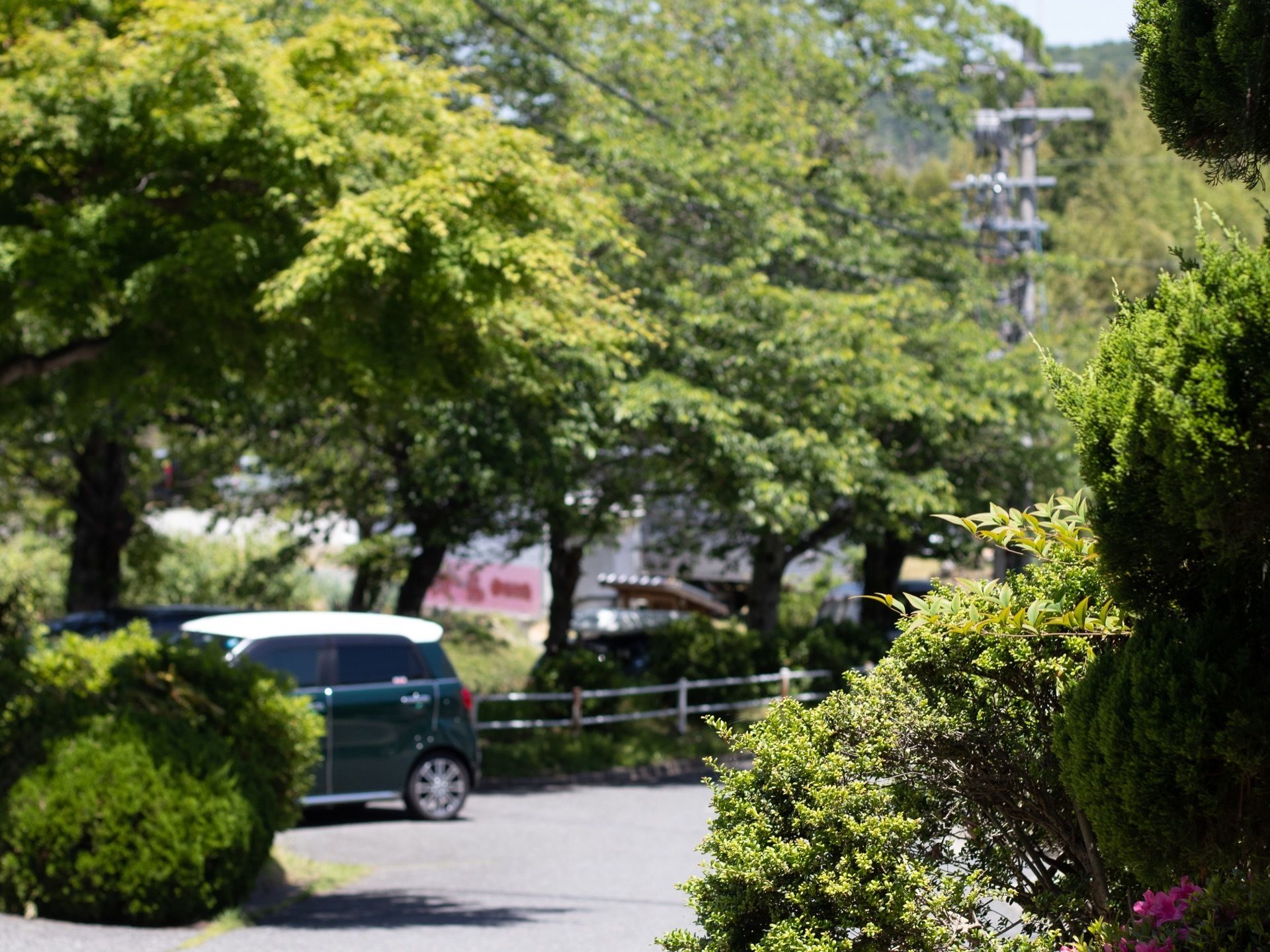 施設の周辺には道路が通っていて、車が１台通っている。道路沿いに緑が多く植えられていて木陰ができている。