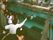 水族館でペンギンを観覧している様子である。１年を通し、行楽地や四季折々のスポットなどへの外出の機会も多彩に設けている。