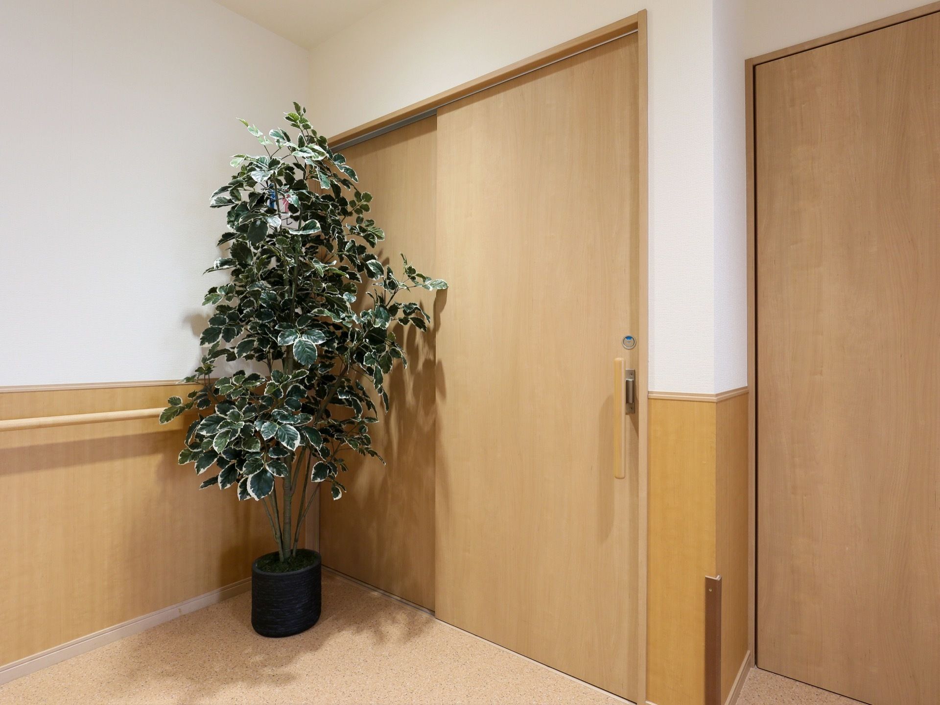 スライド式のドアがあり、その手前にドアの同じ高さの観葉植物が飾られている。廊下の壁には手すりがある。