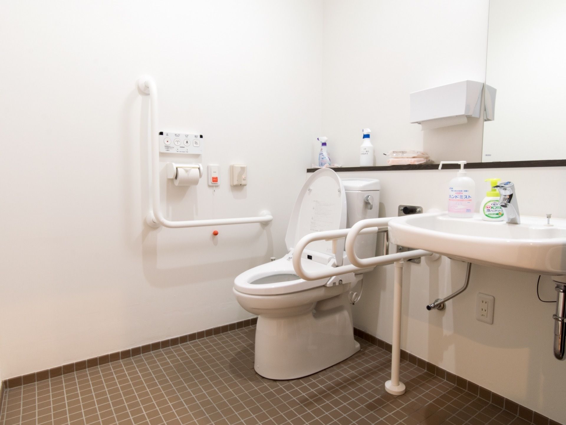 トイレは広いスペースに設置されている。蓋つきの便座で、便座の両側には固定式や可動式の手すりがついている。