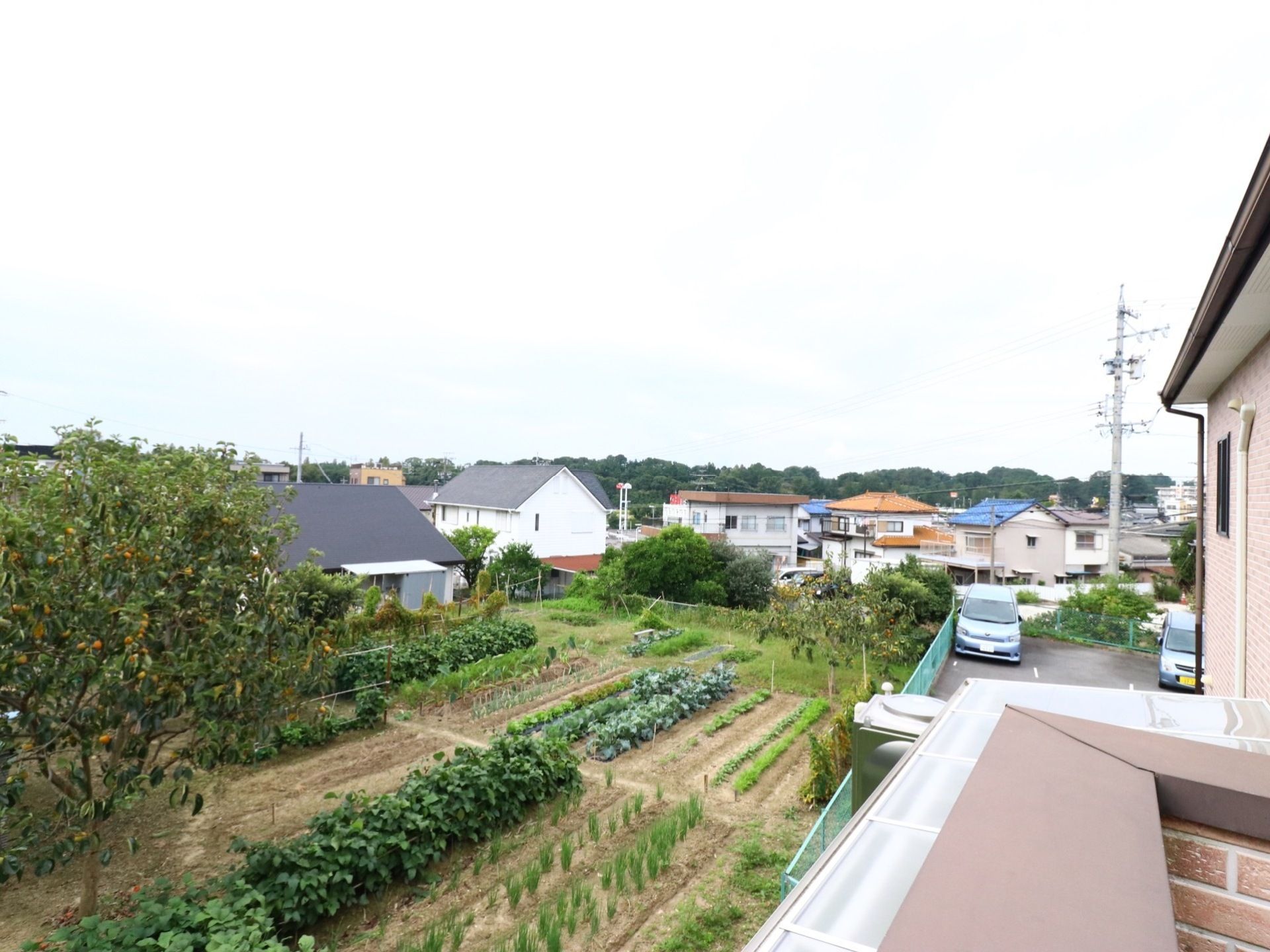建物の上階から見た景色の写真。近隣には民家が並んでおり、目の前は畑になっている。高い建物が無いので、非常に景色が良い。