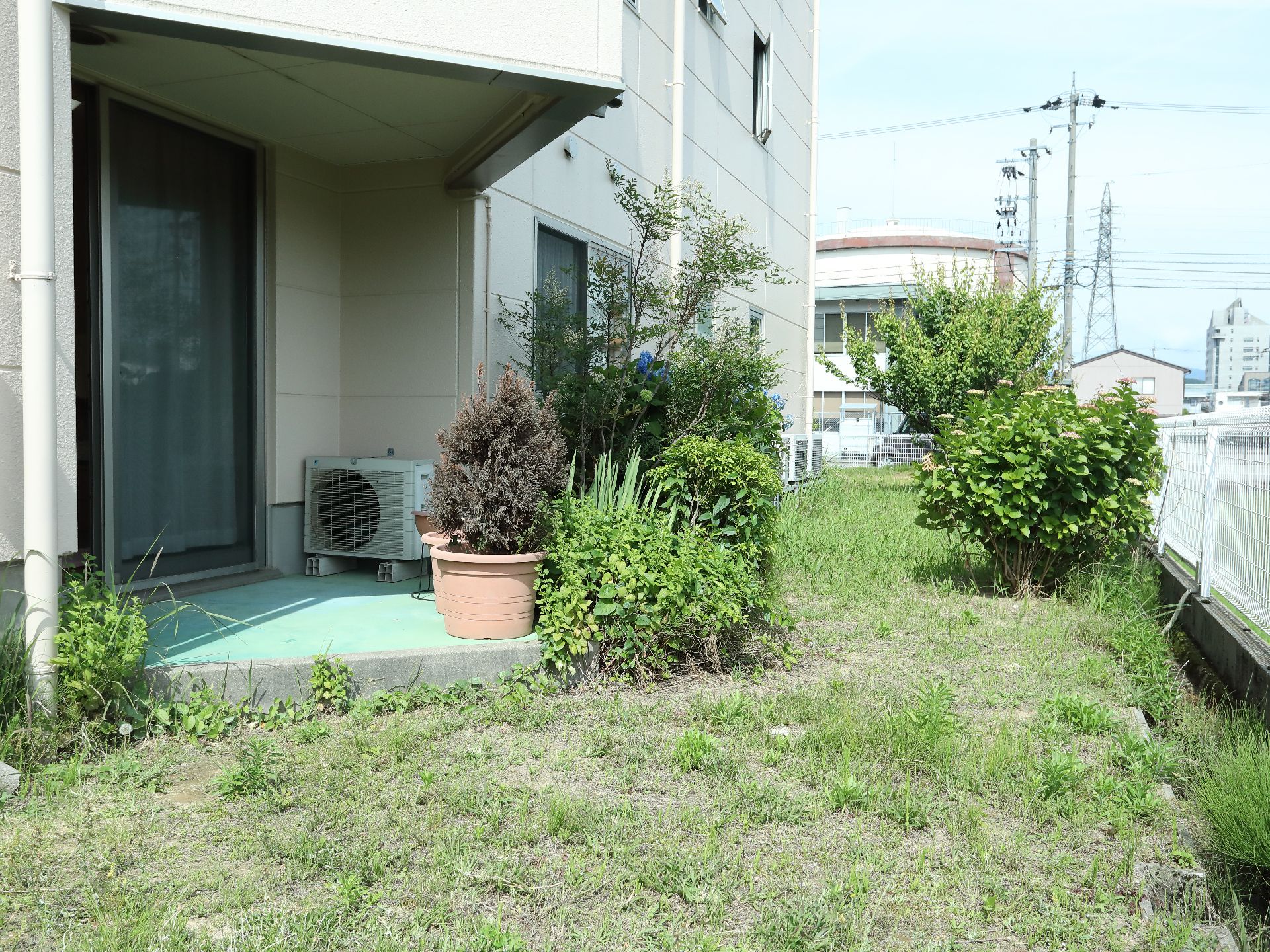 施設の1階にはエントランスとは別に外に出るドアがある。外は庭になっており、たくさんの木々が生い茂っている。