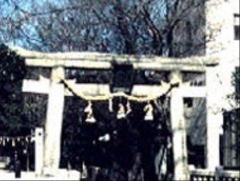 ホームの近くにある神社の鳥居の写真。鳥居から続く道の端には大きな木が生え連なっている。散歩に出かけられる。