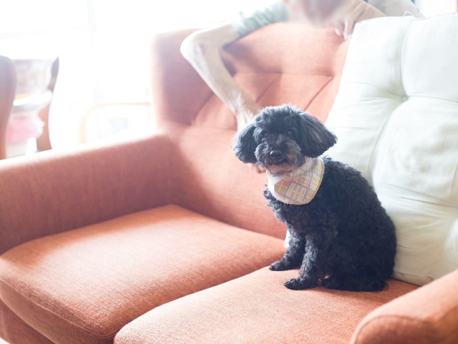 施設内で犬を飼育している。動物と触れあうことでリラックスでき、入居者様の心身の健康にいい影響を与えている。