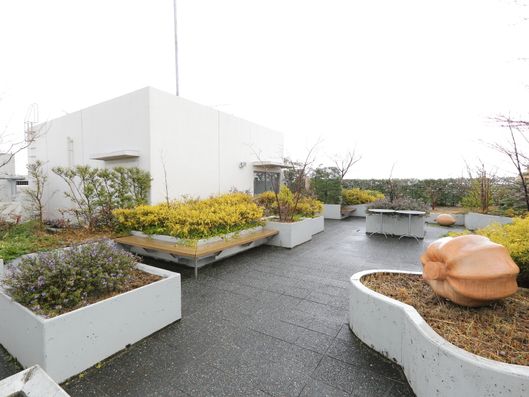 屋上庭園