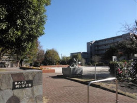 公園