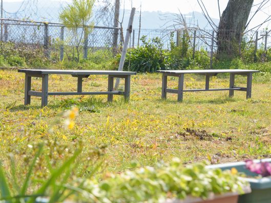 施設庭とベンチ