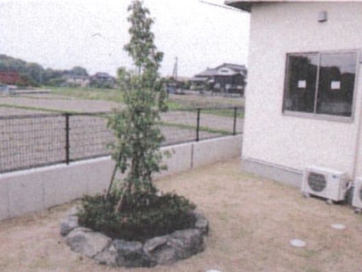 中庭