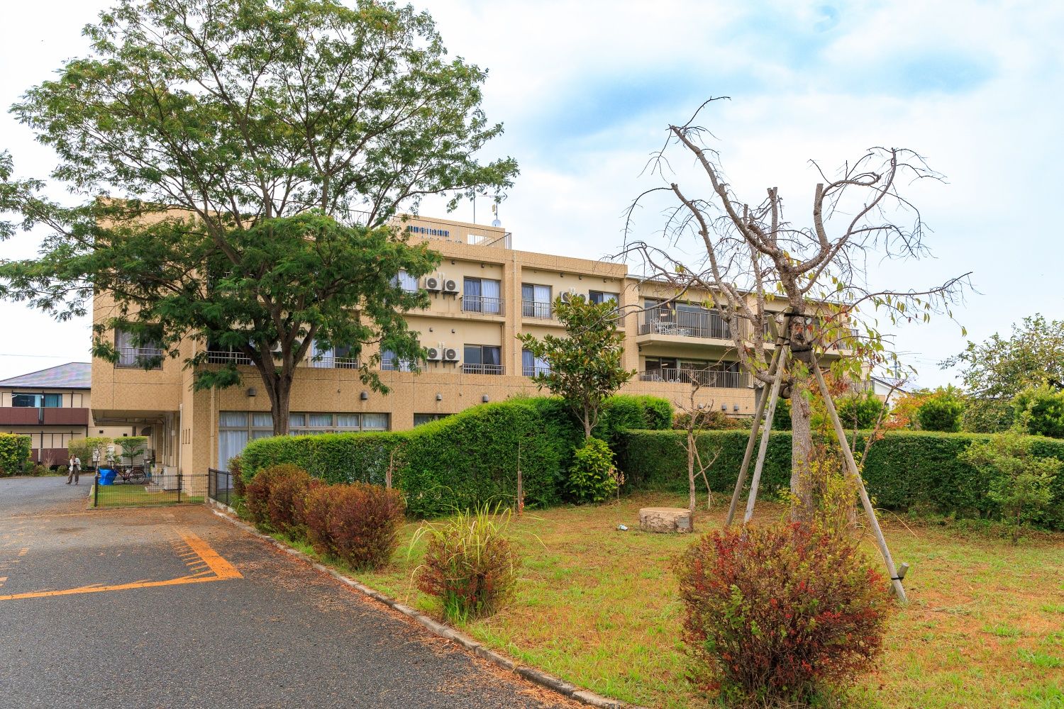 緑豊かな外観