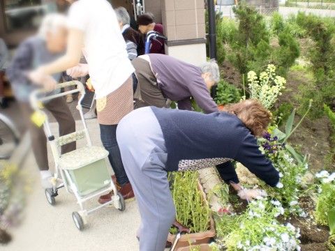 大きな花壇があり、たくさんの植物の手入れをしている入居者様