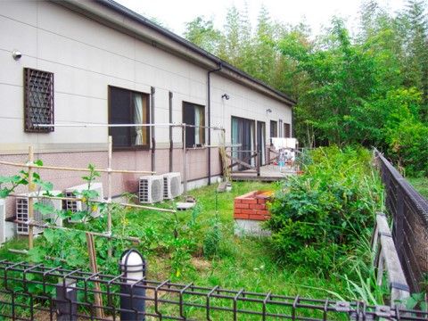 たくさんの木々があり、自然豊かなウッドデッキが設置された裏庭