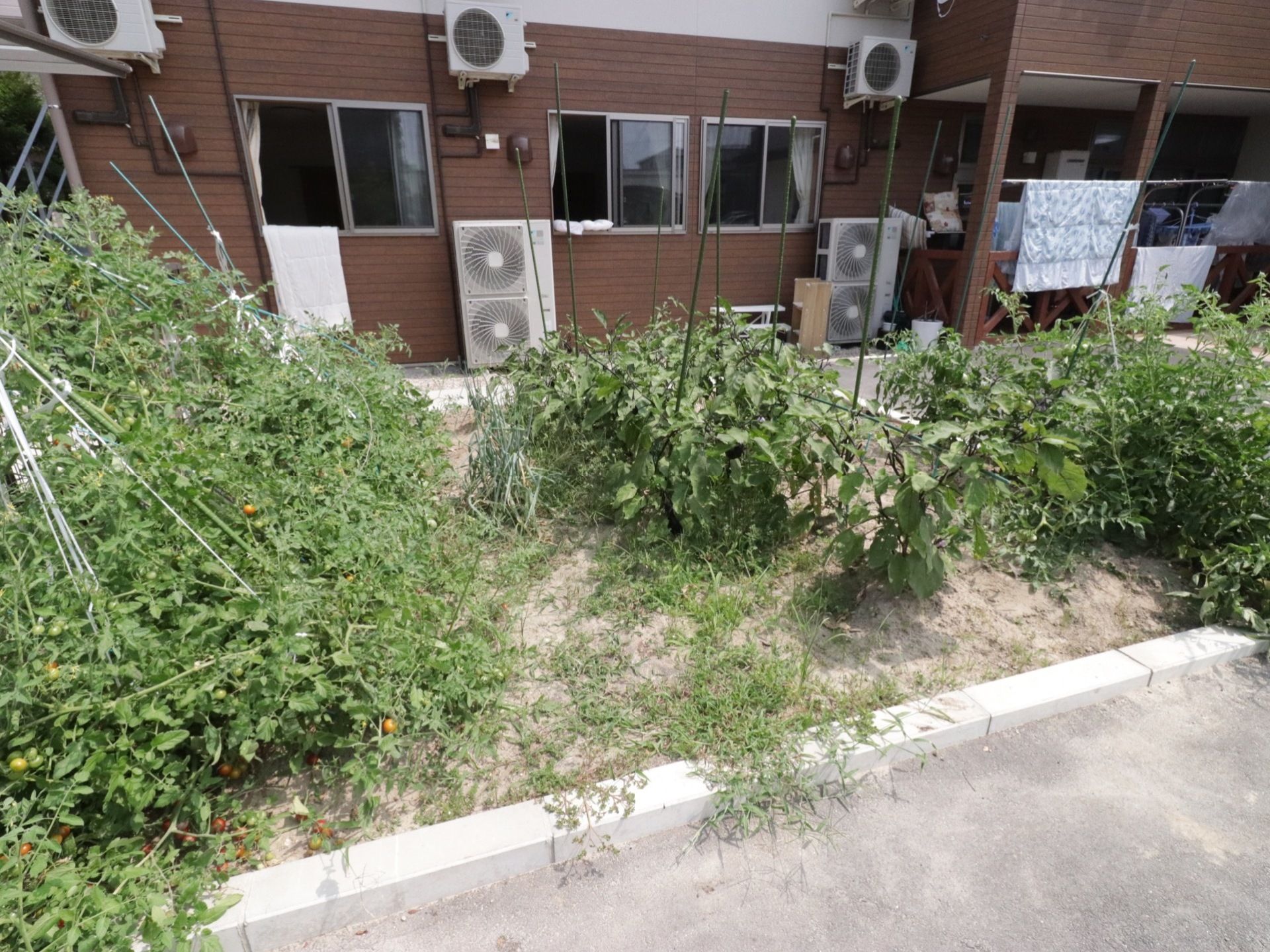 施設の前方に広々とした植栽スペースがあり、複数の野菜や草花が栽培されている。入居者様の居室の窓は、植栽スペースに沿って並んでいる。