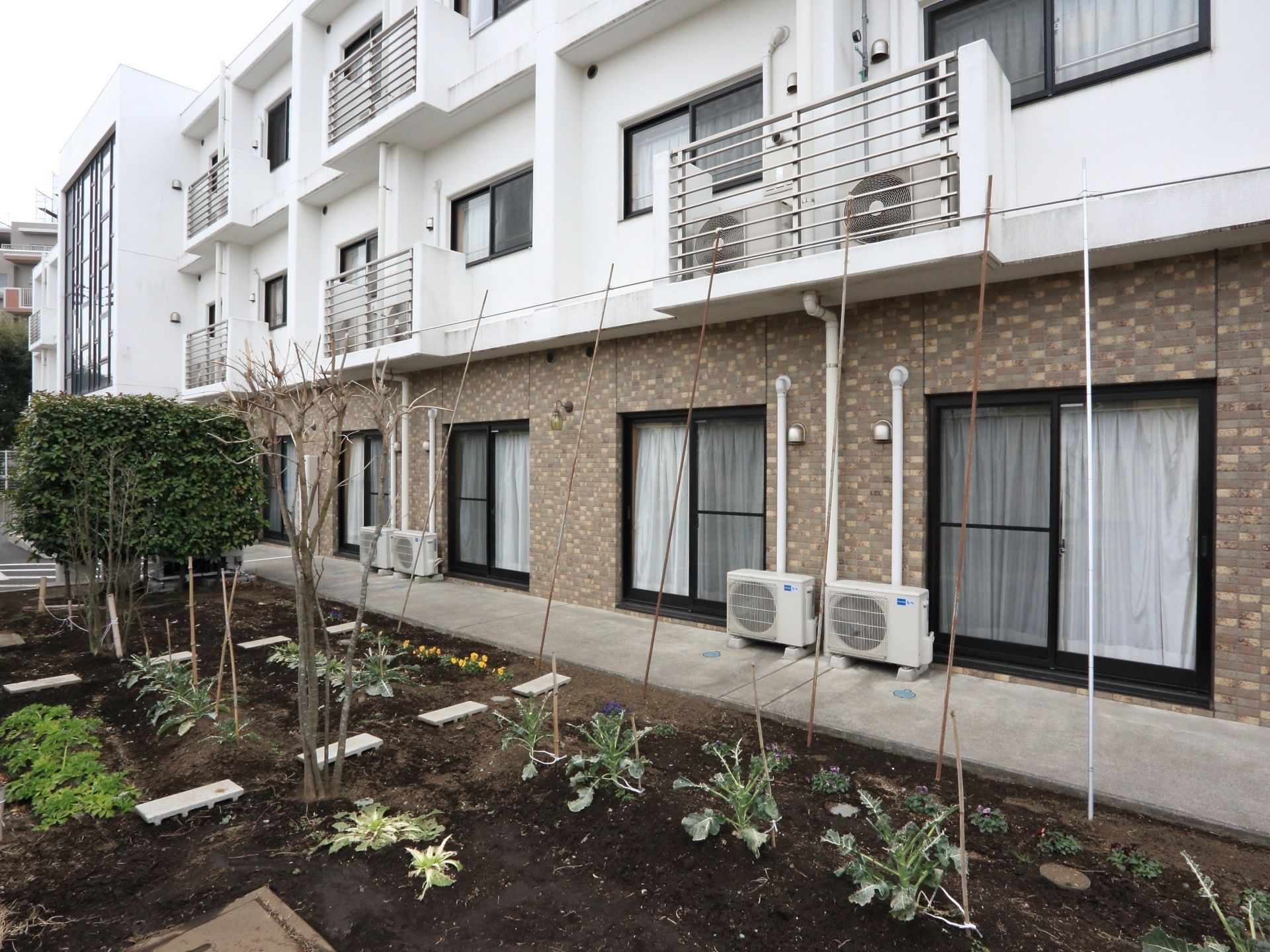 家庭菜園コーナーには、大根などの葉物野菜とパンジーの花が植えてある。たくさんの細長い棒が、建物の壁に立て掛けてある。