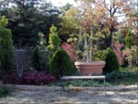 さまざまな種類の木が植えられており、季節の移り変わりを楽しんでいただける。豊かな自然に癒される空間となっている。