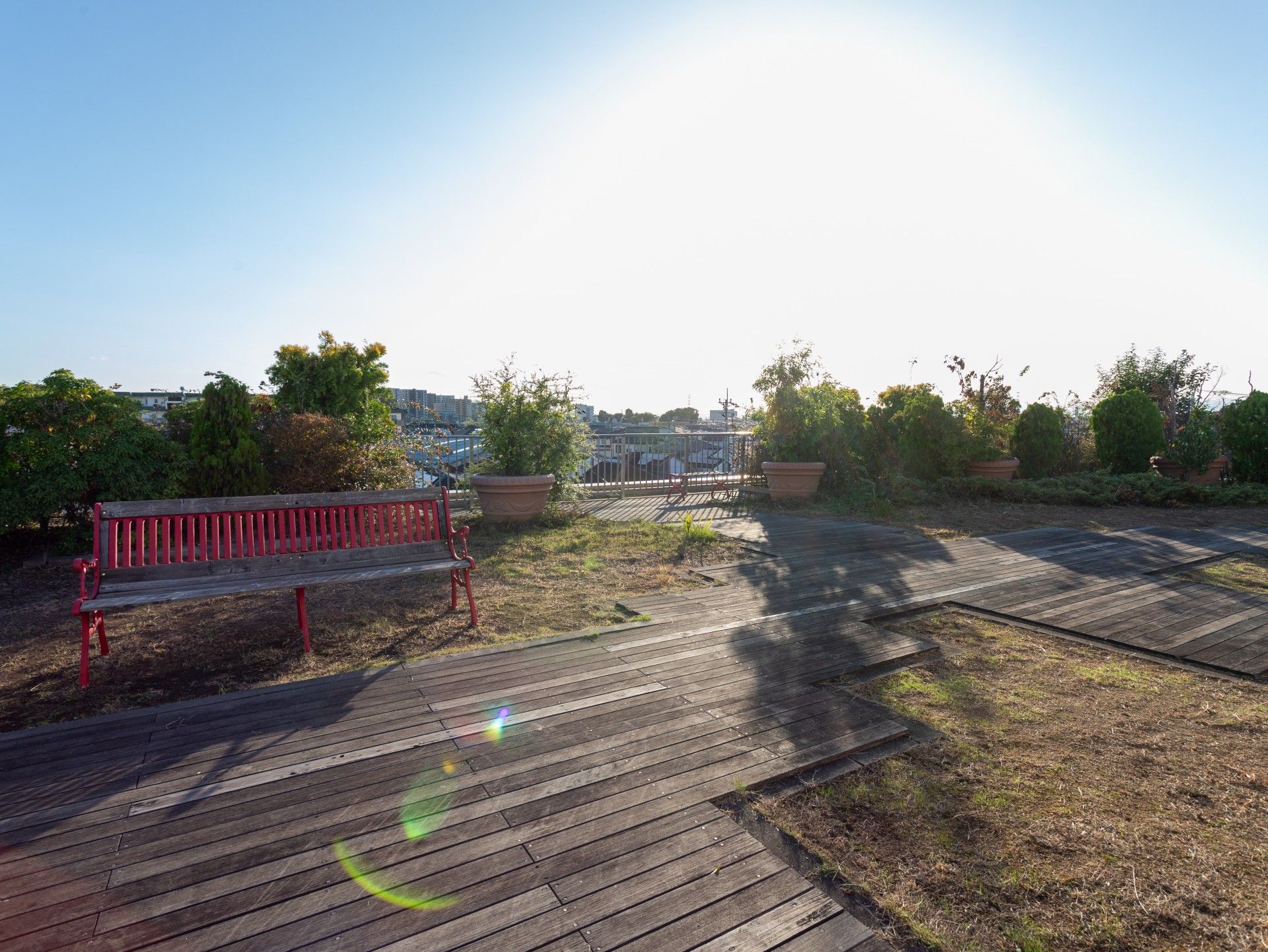 庭のベンチと木製デッキ