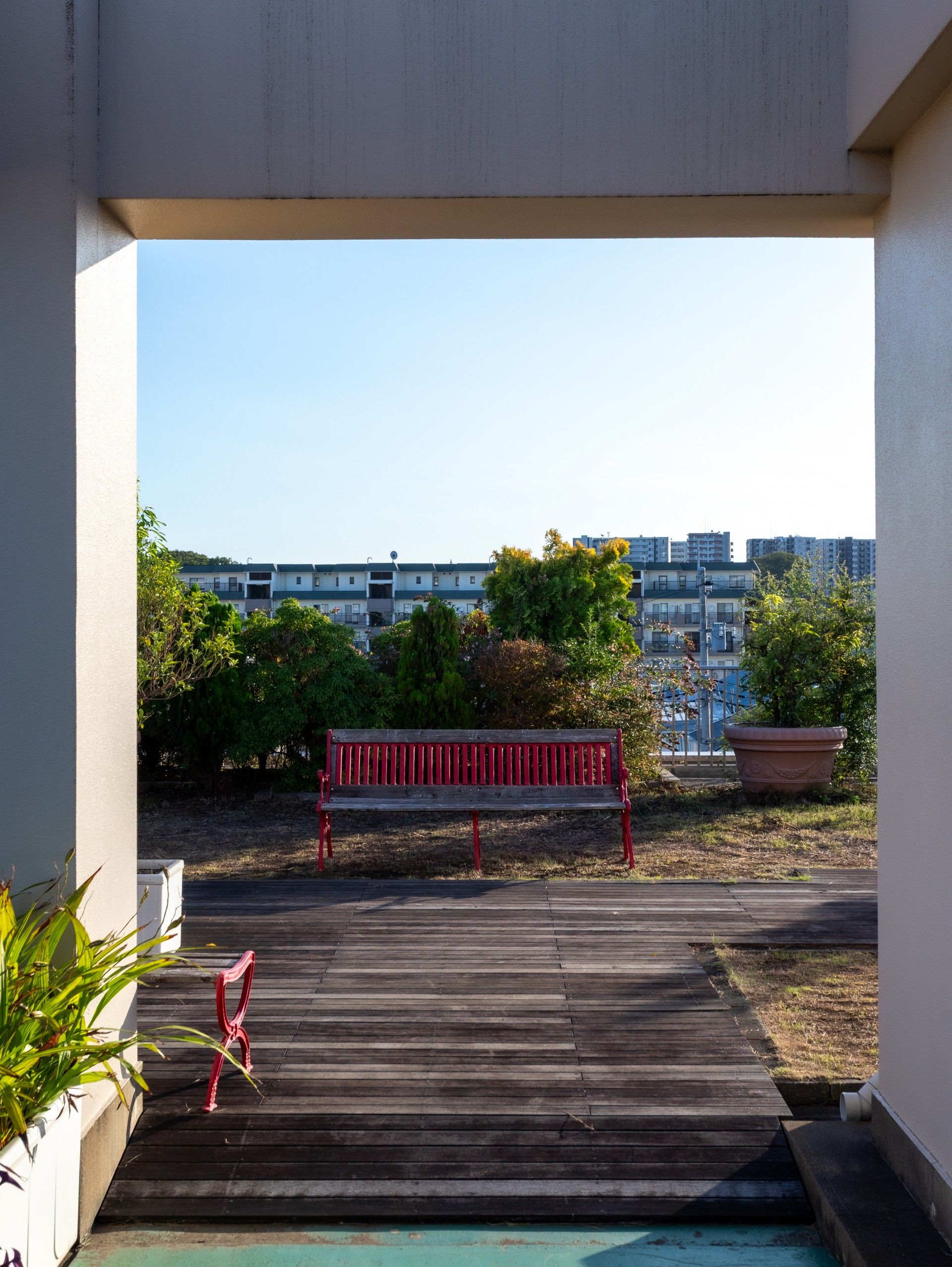 赤いベンチのある庭