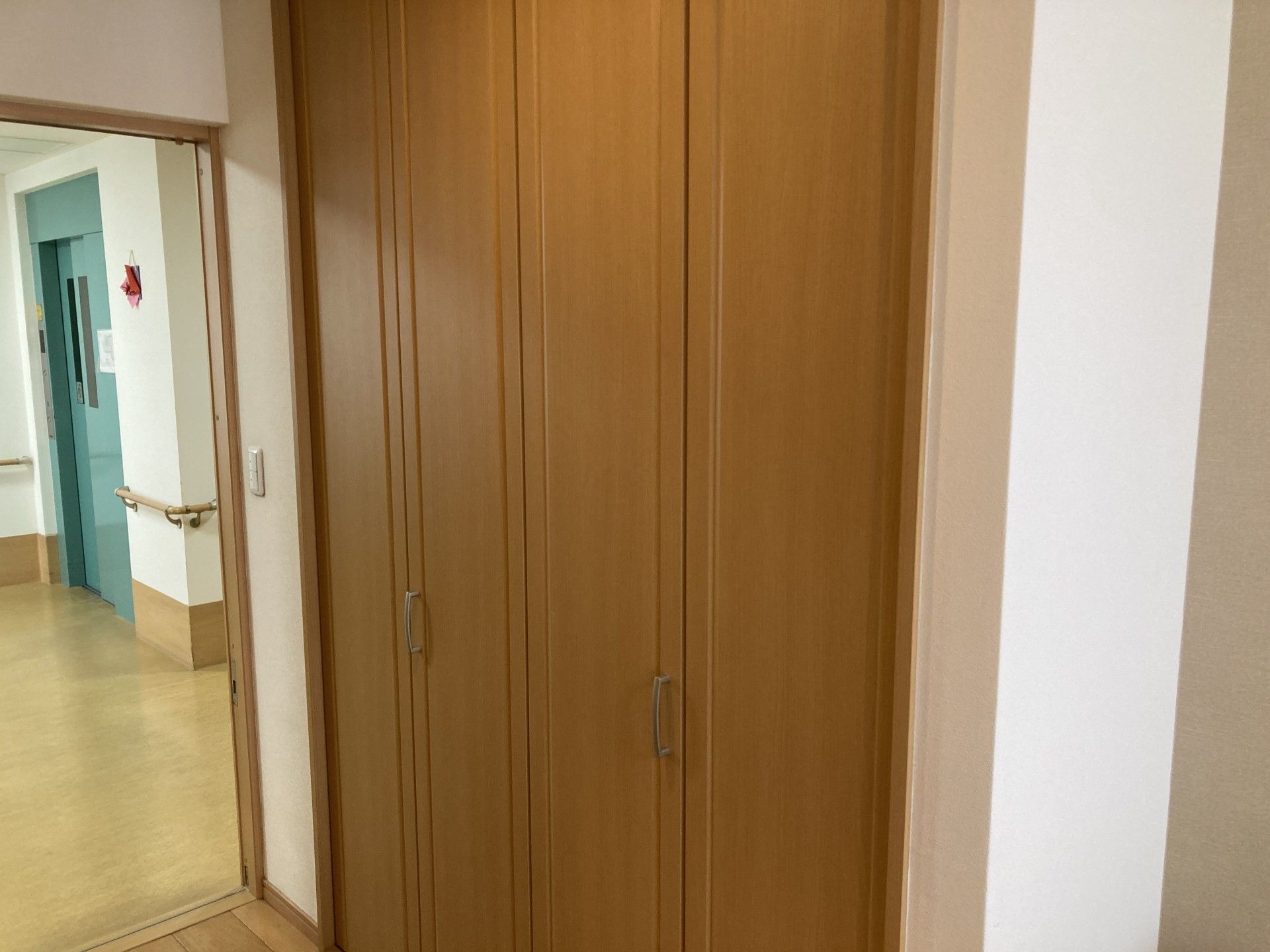 木製の収納扉と廊下