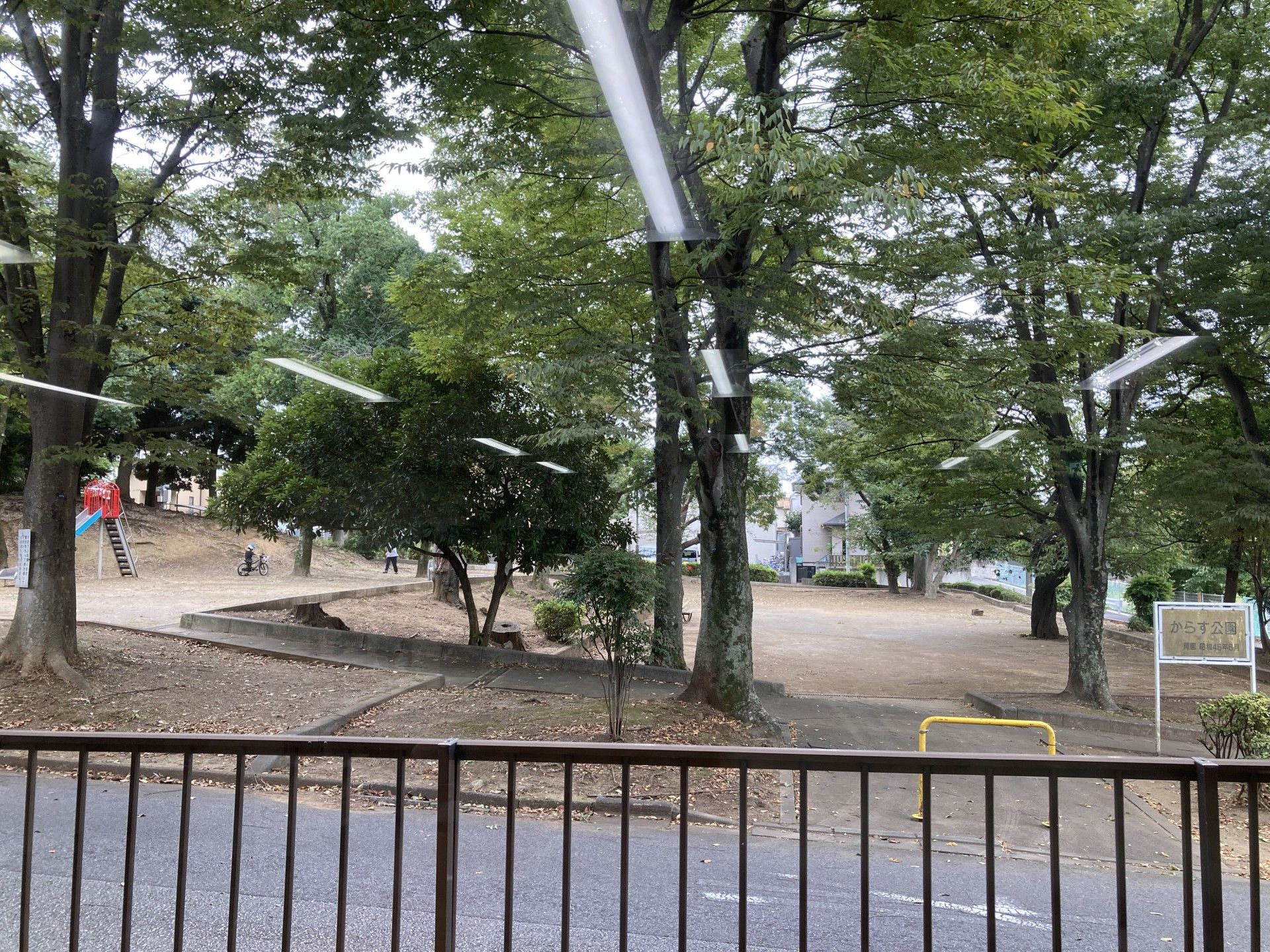 緑豊かな外の風景