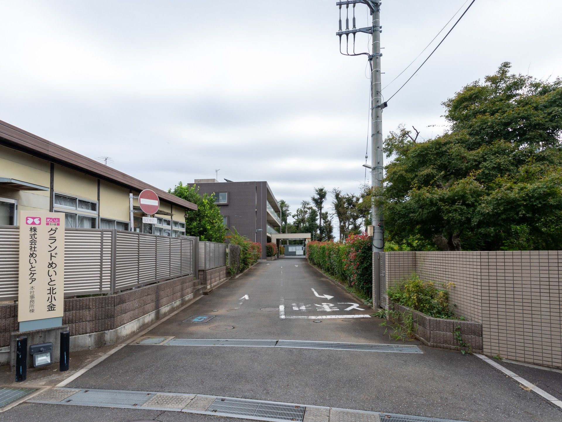 緑に囲まれた入口