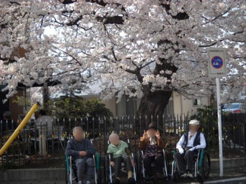 スタッフと一緒にリフレッシュすることができるお花見などの外出