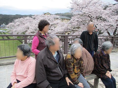桜の咲く季節など、リフレッシュできるよう積極的に行われている外出レクリエーション