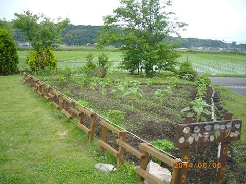 「北栄みのりグループホーム」の畑。土いじりが楽しめる。