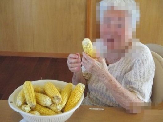 畑で取れた野菜