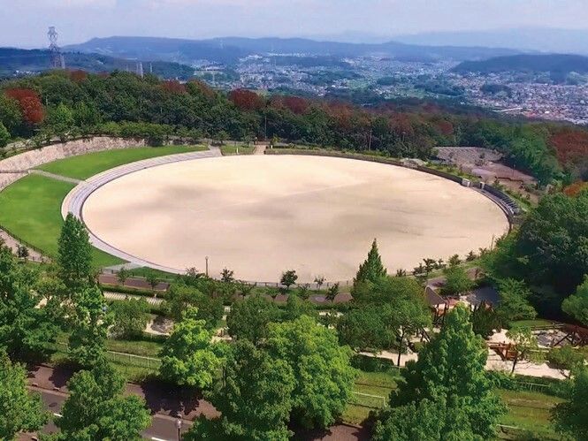 広々とした中庭の景色