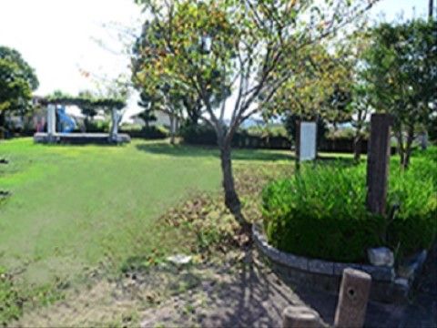 地面一杯に植物が生えており、緑の絨毯に心癒されるスポットとなっている。奥には座ることができるスペースがある。