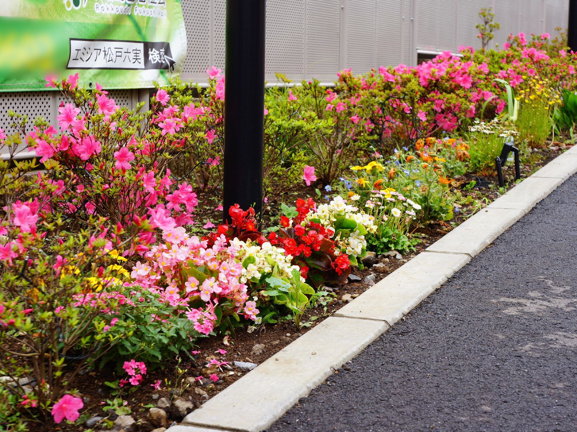 建物の外に設けられた花壇には様々な色合いの花をつけた植物が植えられ、通る人々に四季折々の様子を見せている。