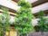 まだ若く、大きくはない木が数本植えられた中庭の光景。これから、施設の歴史と共に成長していく若木たちである。