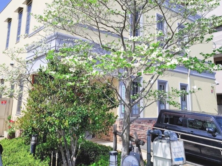 薄黄色を基調とした外壁の２階建ての施設である。玄関の両側に駐車スペースがある。玄関から道路へのスロープには手すりが設置されている。