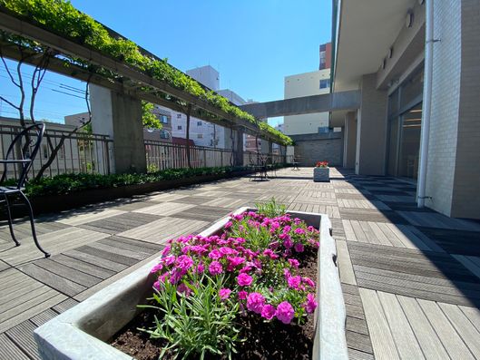 2階テラス