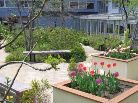 「シニア町内会 癒しのまくはり館」の中庭。植物に囲まれながら寛げられるスペースである。