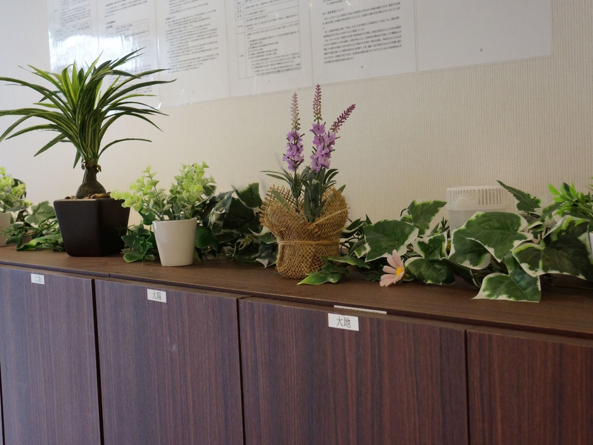収納庫の上には、ランなどの生花やイミテーションの植物が飾られており、入居者様に癒しの空間を与えている。
